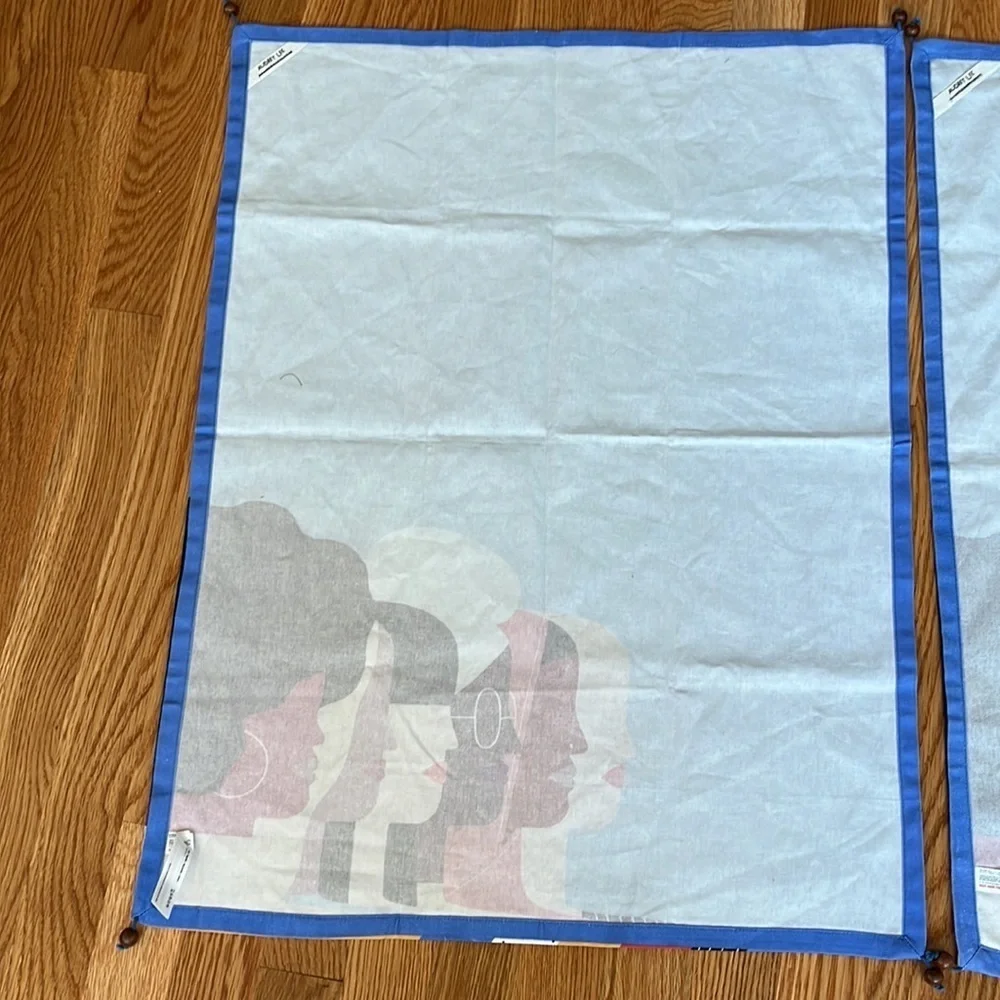 New BUNDLE 2 Year of Woman Empower Female Peasant Hipster Dish Towels